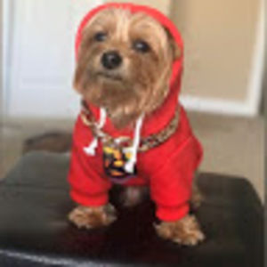 Meet your Posher, Innie